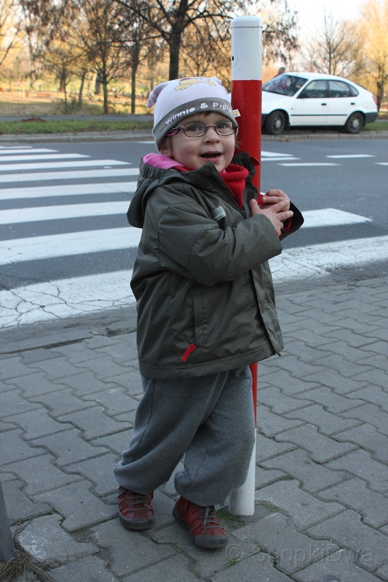 IMG_03929.jpg - ...