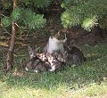 IMG_1132